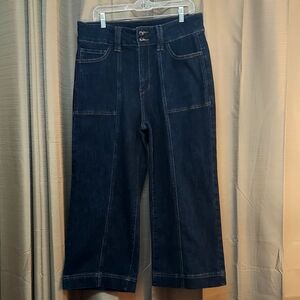 Mica Hi-Rise Wide Leg Cropped Jeans Size 14W